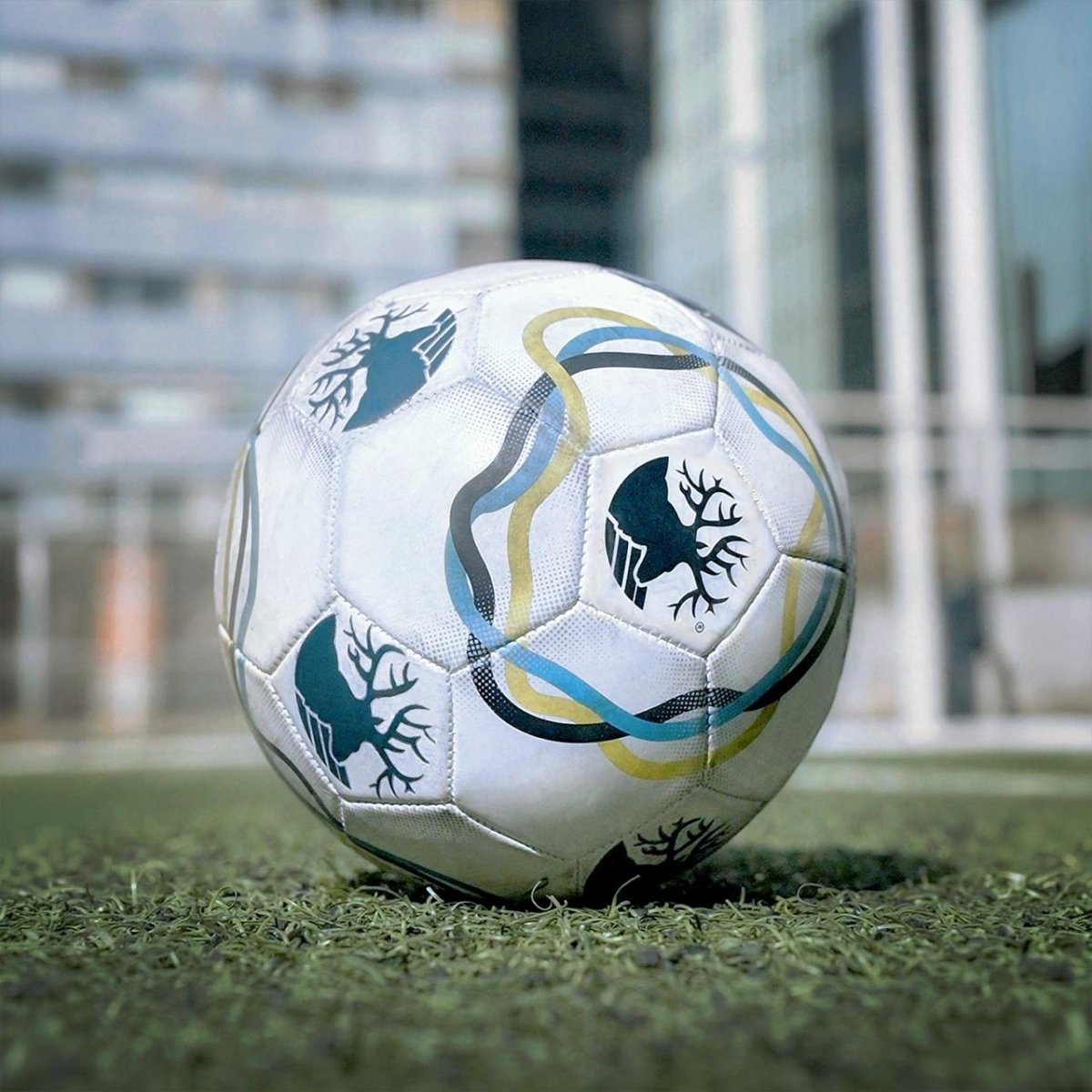 🎁 REGALO BALÓN (Discount) - The Original Greenlander